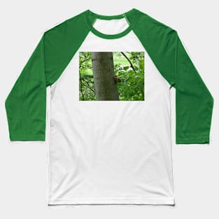 Red Squirrel Baseball T-Shirt